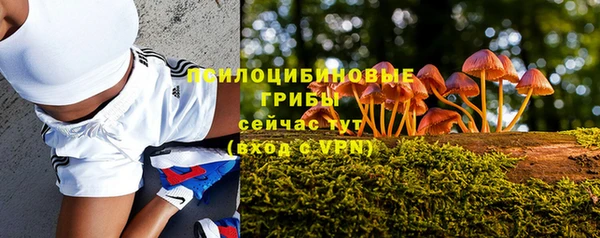 тгк Беломорск