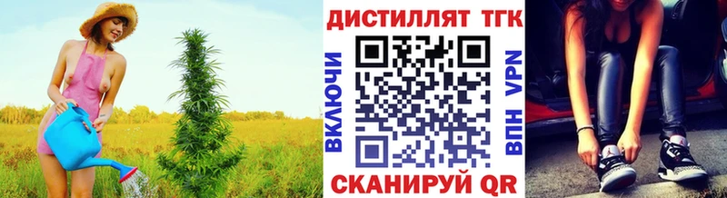 ТГК концентрат  Вельск 